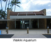 Waikiki Aquarium 