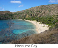 Hanauma Bay 