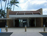 Waikiki Aquarium 