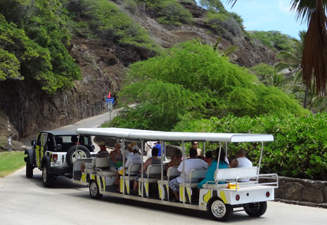 Hanauma Bay shuttle bus