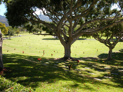 Punchbowl Memorial Cemetery graves and flowers