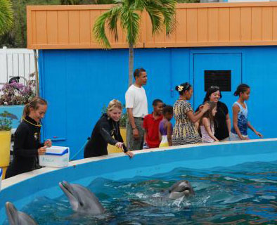 Obama with the dolphins at Sea Life Park Hawaii